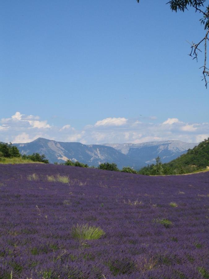 Les Vieux Murs Montfort  Oda fotoğraf