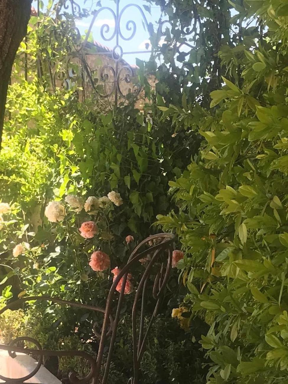 Les Vieux Murs Montfort  Dış mekan fotoğraf