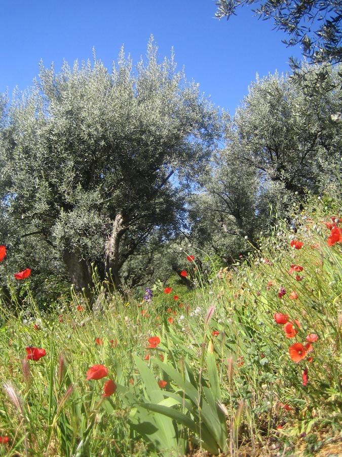 Les Vieux Murs Montfort  Dış mekan fotoğraf