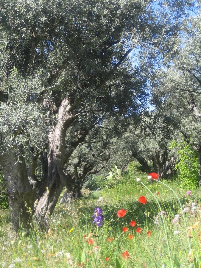 Les Vieux Murs Montfort  Dış mekan fotoğraf