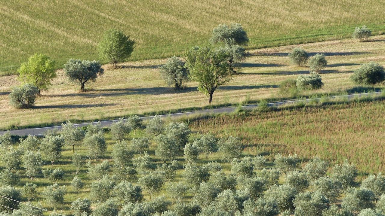 Les Vieux Murs Montfort  Dış mekan fotoğraf